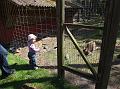 Sofia i  FarmFun 062